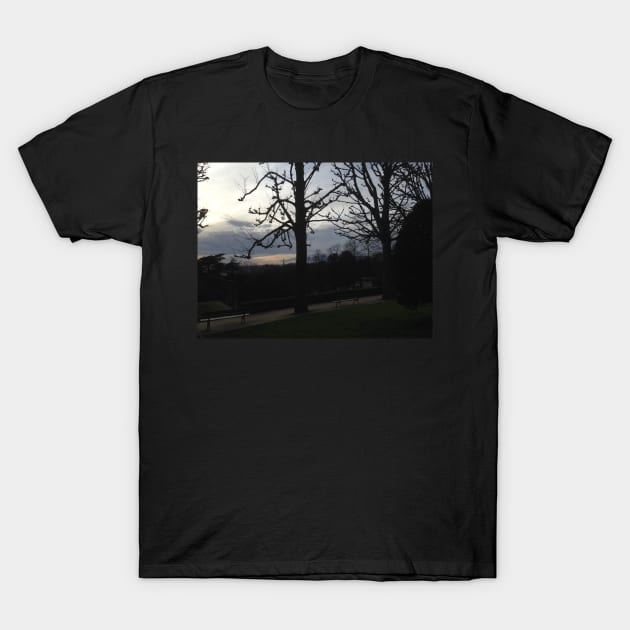 Paris from Pere Lachaise T-Shirt by ThatBird